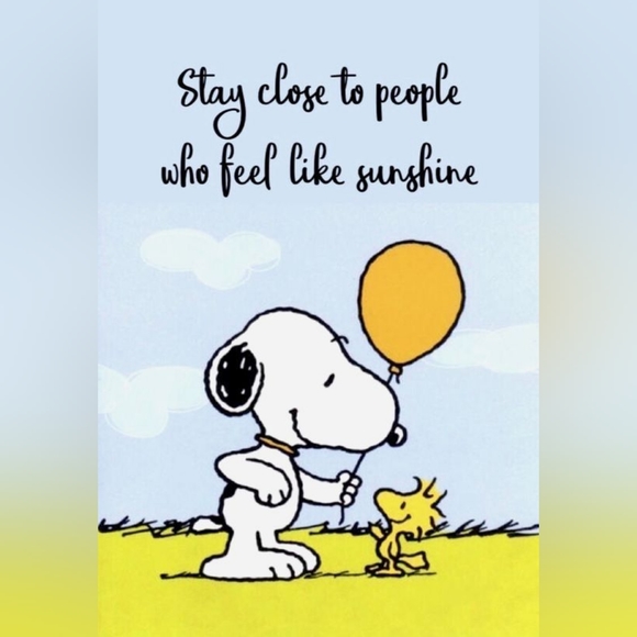 🦓 VS Sexy Illusions by Victoria's Secret No-Show Lace Hiphugger Panty 🦓 - Picture 13 of 16